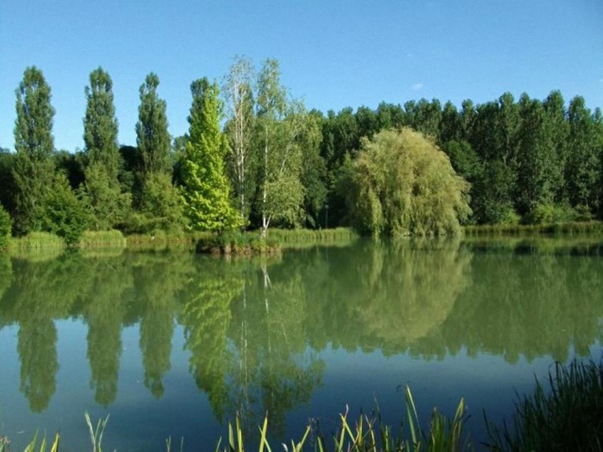 Le Domaine De L'Etang De Sandanet Issac Buitenkant foto