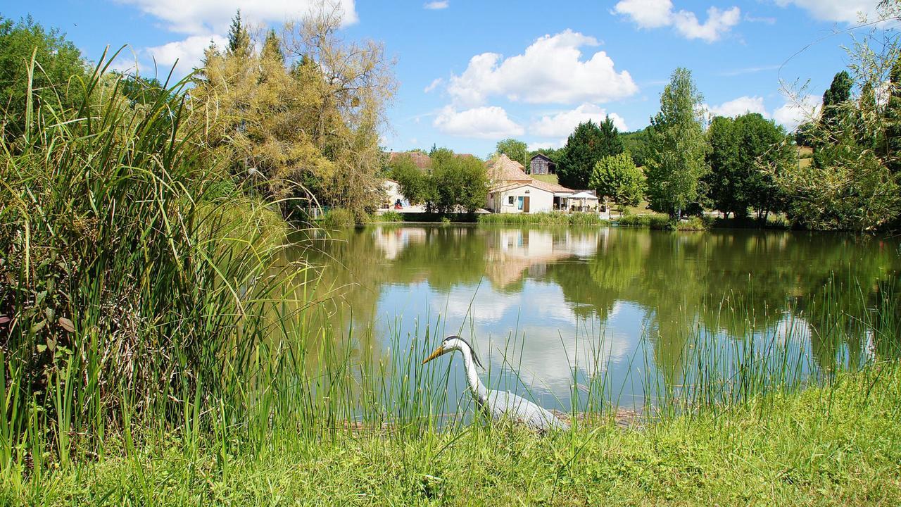 Le Domaine De L'Etang De Sandanet Issac Buitenkant foto