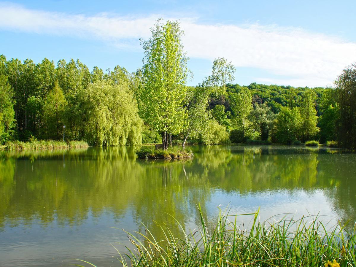 Le Domaine De L'Etang De Sandanet Issac Buitenkant foto